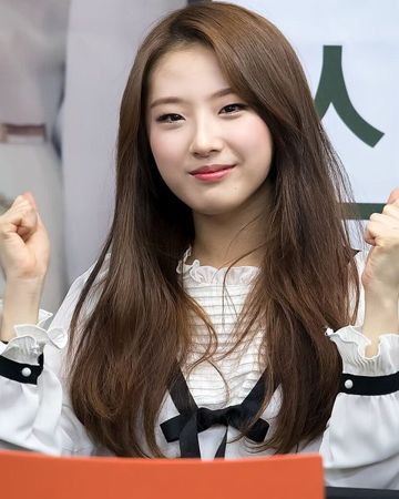 하슬 사진